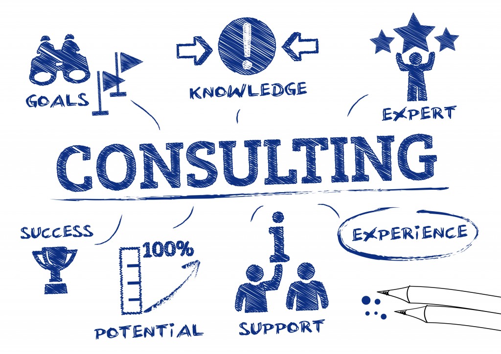 Consulting &amp; support